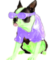 Photoshop-dog-sydlexia.png